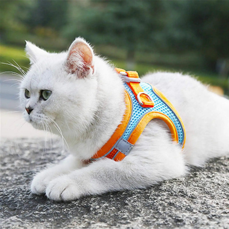 Cat Harness Set with Adjustable Leash