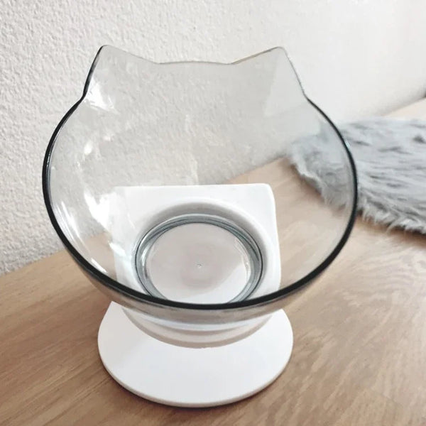 Ergonomic Cat Bowl with Elevated Stand