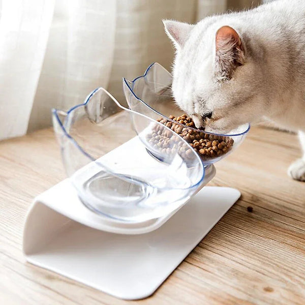 Ergonomic Cat Bowl with Elevated Stand